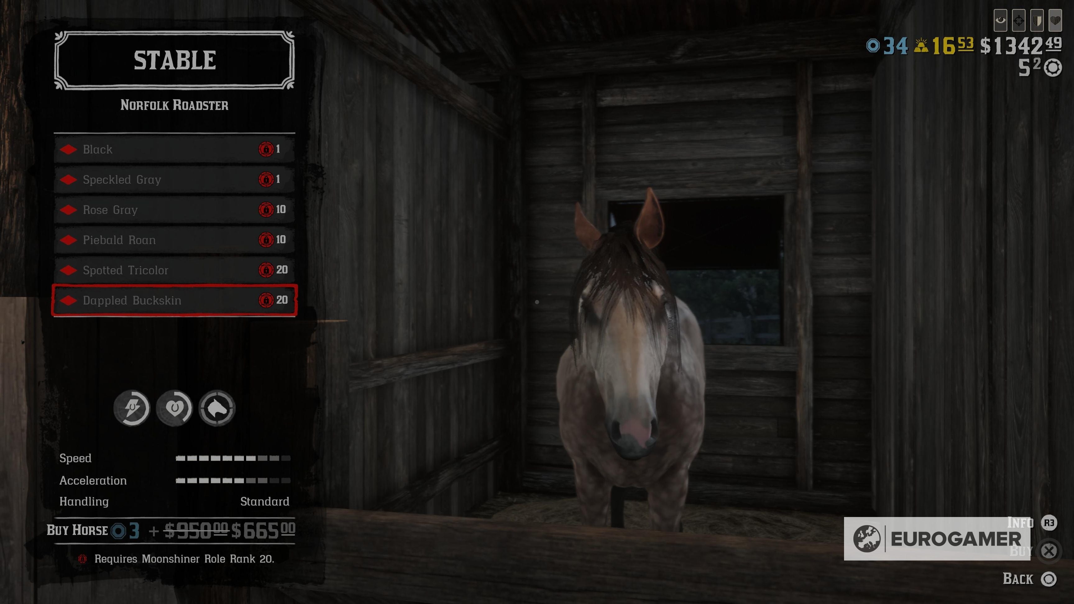 Red Dead Online best horses explained Our best beginner and overall